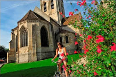 Trouvez l'homme - Oreille, Auvers-sur-Oise, Théo, Tournesol.