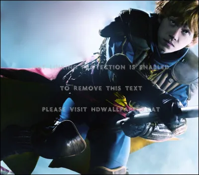 Dans le livre "Harry Potter et le Prince de sang-mêlé", qui commente les matchs de quidditch après Lee Jordan ?