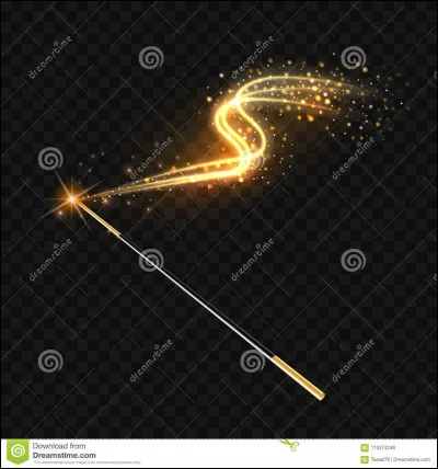 Quel est l'élément ayant un lien avec la baguette magique de Harry et Voldemort ?