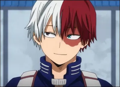 My Héro Academia : 
Comment Shoto Todoroki a-t-il eu sa brûlure autour de l'il