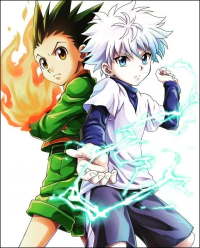 Hunter x Hunter : 
Où Gon et Kirua se sont-ils rencontrés ?