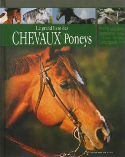 As-tu beaucoup de livres sur les chevaux ?