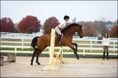 Quand un cheval en retape une ?