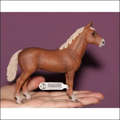 Cette jolie figurine de marque Schleich représente un étalon de race morgan. Mais trouvez-vous qu'il représente bien la race ?
