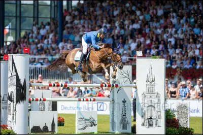 Ton cheval s'est emballé lors de ton parcours, puis tu es tombée. Quelle est ta réaction ?