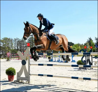 En concours, ton cheval a fait tomber une barre...