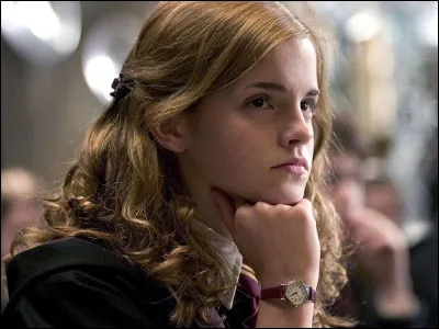Pour son 13e anniversaire, quel cadeau Hermione envoie-t-elle à Harry ?