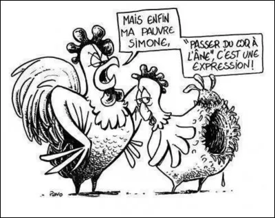 Mais on discute, on discute, et j'ai tendance à sauter du coq à l'âne, et à ...