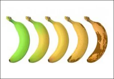 Pendant plusieurs semaines, il m'a raconté des salades ...