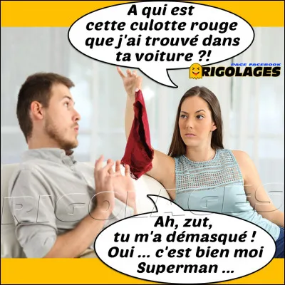 Alors que je sais, de sources sûres, qu'il n'est pas le dernier à faire des infidélités, il passe son temps ...