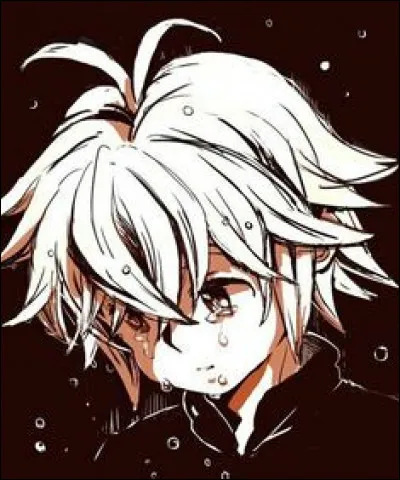 Quel est le péché de Meliodas et quel est son animal symbole ?