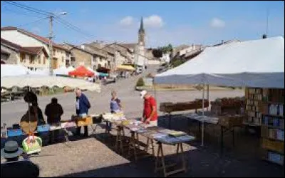 Je vous propose de partir dans le Grand-Est à Fontenoy-la-Joûte. Village du livre à 6 kilomètres de Baccarat, il se situe dans le département ...