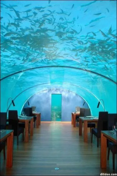 Un restaurant sous la mer ?