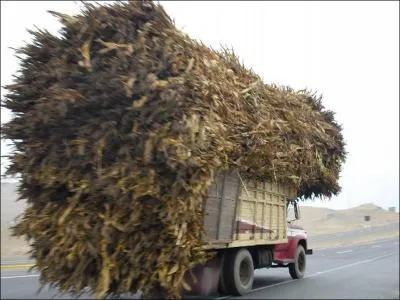 Un camion bien charg...