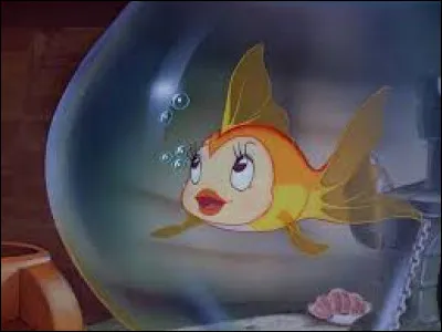 Dans quel dessin anim&eacute; retrouve-t-on le poisson Cl&eacute;o ?