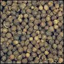 Quelle est cette épice