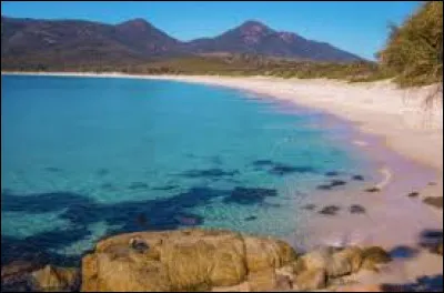 Quel pays est bordé par la mer Tasman ?