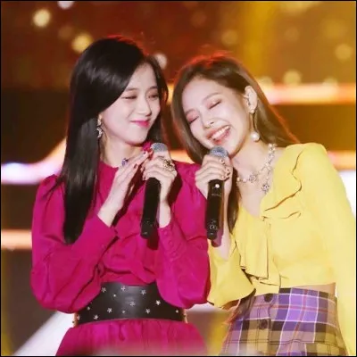 Comment appelle-t-on Jisoo et Jennie lorsqu'elles sont ensemble ?