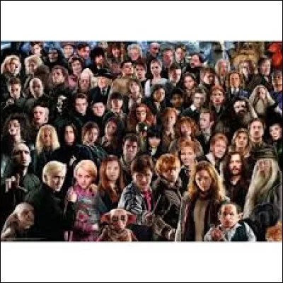 Quel est ton adulte préféré dans ''Harry Potter'' ?