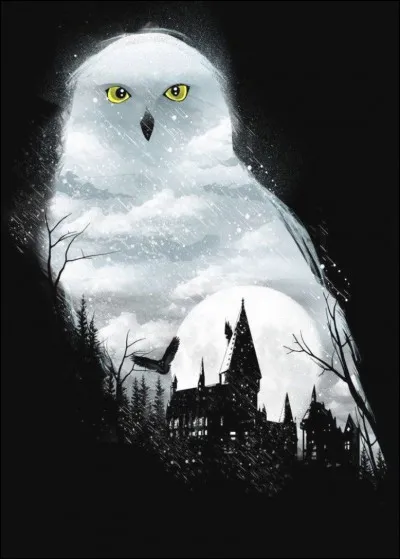 Quelle est ta créature préférée ?