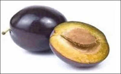 Quelle est cette prune oblongue charnue et violette ?