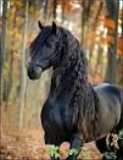 Combien y a-t-il de niveaux ?