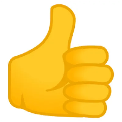 Quelle est ta plus grande qualité ?