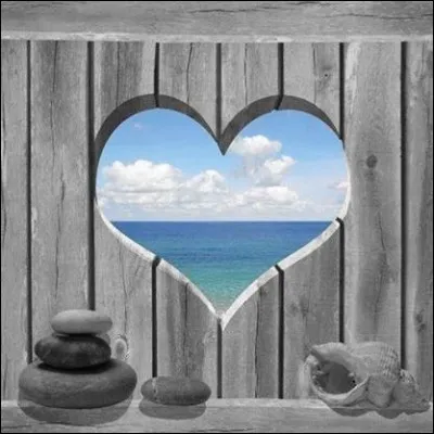 Qui chante "Et puis je fondrais comme neige au soleil de tes sourires" dans sa chanson intitulée "Ma lumière" ?