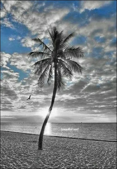 Qui interprétait la chanson de Gainsbourg "Sous le soleil exactement" ?