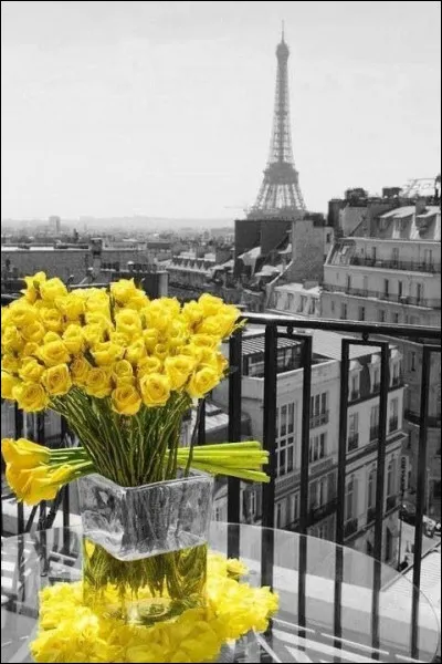 À qui étaient les paroles "S'il fait du soleil à Paris, il en fait partout" ?