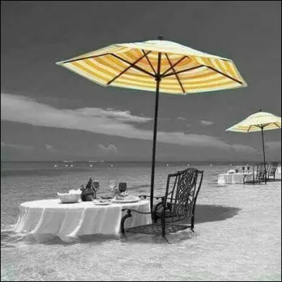 Qui chantait "Y a du soleil sur la France" ?