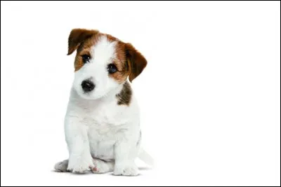 Qu'est-ce que c'est ?