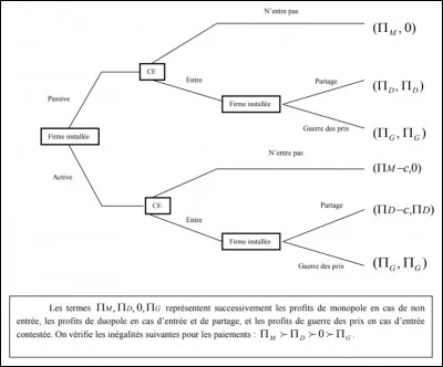 On considère le jeu suivant, parmi ces assertions, laquelle ou lesquelles sont vraies ?