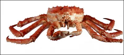 Quel et ce crustac&eacute; comestible, le plus recherch&eacute; et le plus cher du monde qui se p&ecirc;che dans les eaux russes du Kamtchatka ?