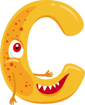 Quiz Animaux