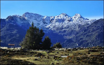 Où est situé le pico Bolívar ?