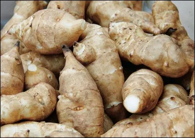 Que sont ces légumes ?