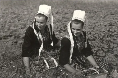 Quelle ville bretonne est célèbre pour ses fraises ?