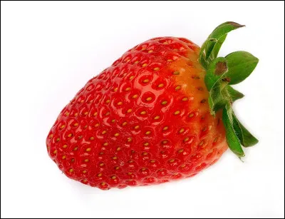 Quel est le nom des petits grains jaunes, parsemés à la surface de la fraise ?