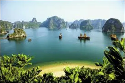 Quelle est la monnaie du Viêt Nam ?