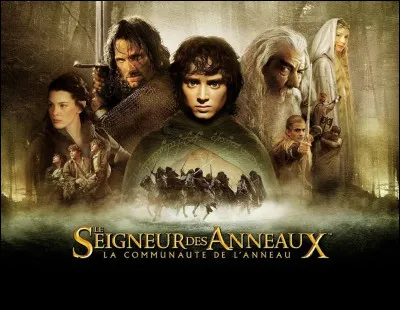 Quel est votre personnage favori dans le Seigneur des Anneaux ?