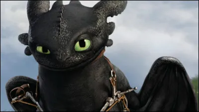 Dans "Dragons", comment s'appelle ce dragon ?