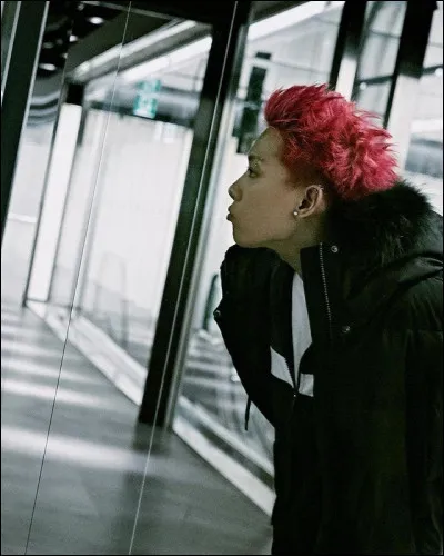 Qui est fan de Louis Vuitton (marque de luxe) ?