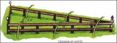 Comment s'appelle cet obstacle ?