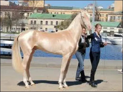 Quelle est cette race ?