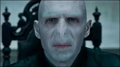 Quel est l'autre nom de Voldemort ?