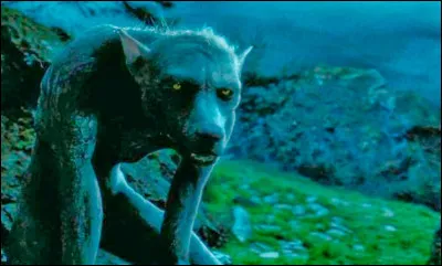 Qui est un loup-garou ?