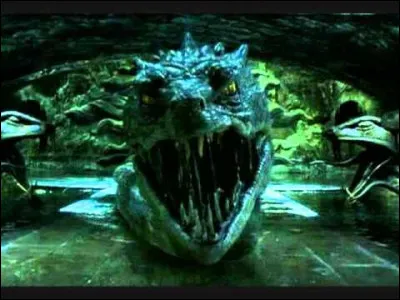 Dans "Harry Potter et la Chambre des secrets" qui est-ce qui perce les yeux du basilic ?