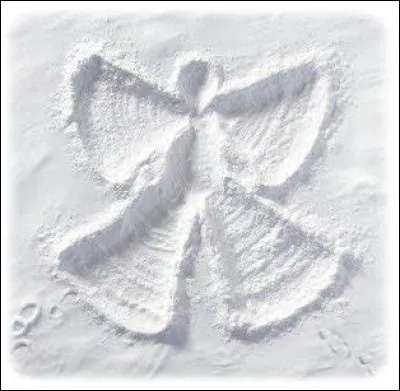 Et comment s'appelle cette autre activité réalisable en cas de neige ?