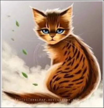 Tu deviens enfin apprenti ; ton mentor est un puissant guerrier qui t'intimide, il te dit que vous allez bientôt partir dans la forêt. Que veux-tu faire en premier ?